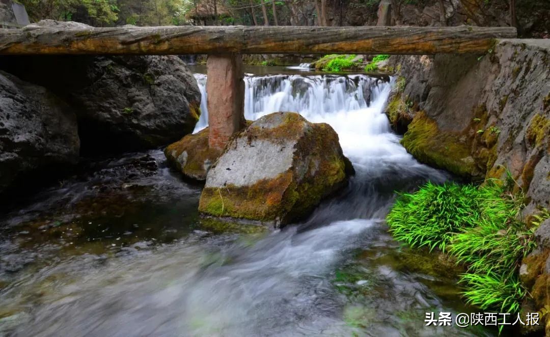 三八节西安景点有哪些优惠,三八妇女节都哪些景区免票