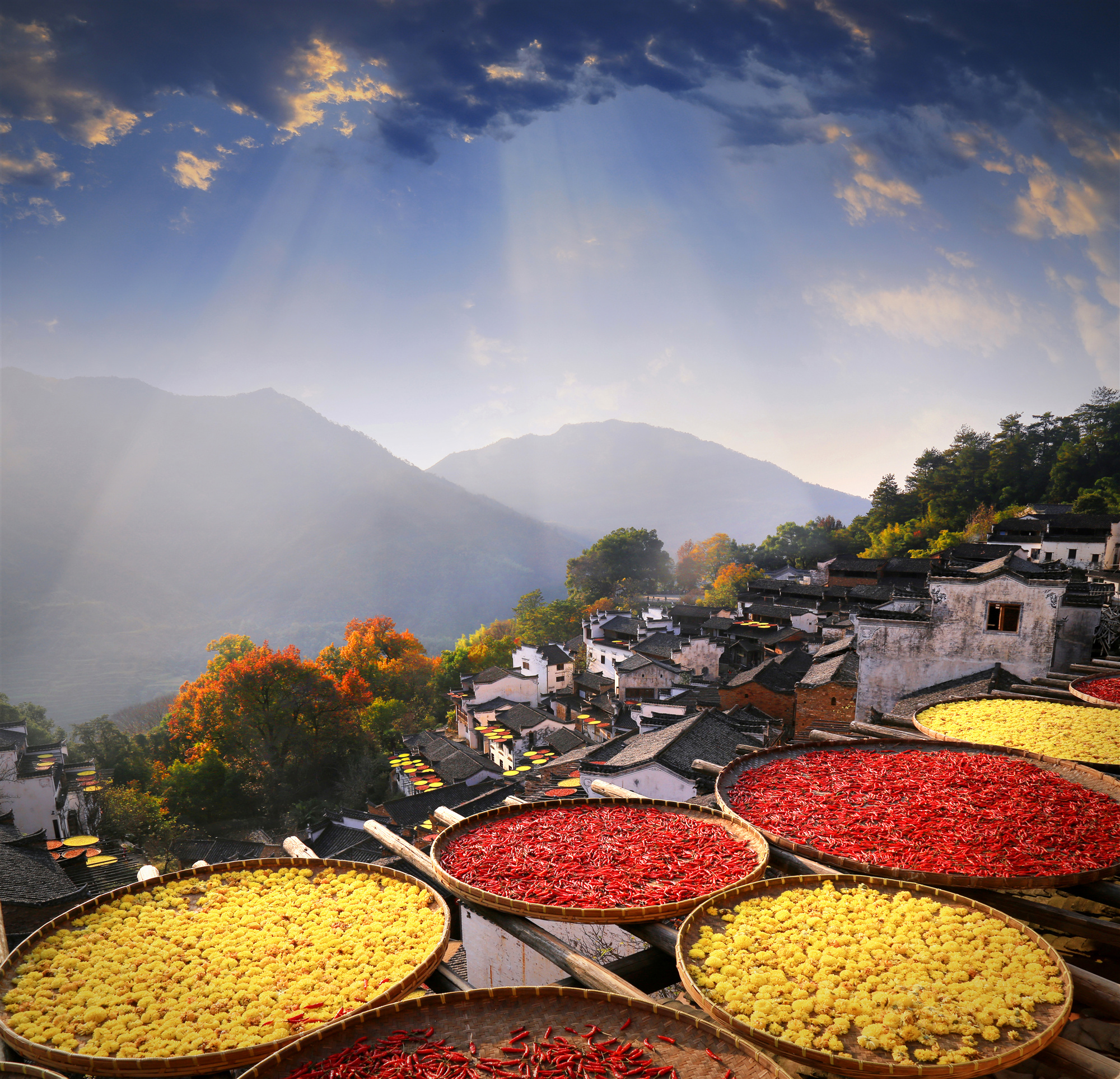 婺源篁岭晒秋古镇忆江南庭院,篁岭最美古村晒秋
