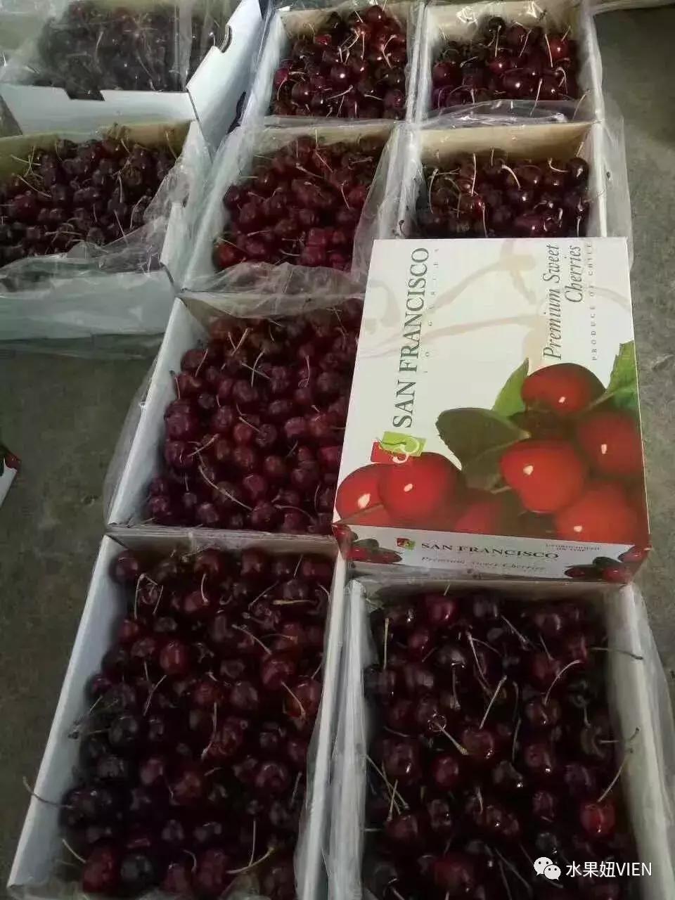 妯辨璐╁瓙鎬庝箞璧氶挶,妯辨绉嶆楠楀眬鎻鏂伴椈