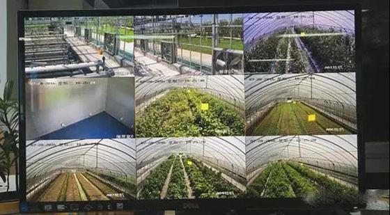 浦公英X4C路由器多少钱,蒲公英x4路由器多少钱一台