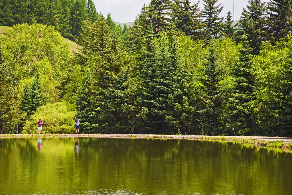 河北承德坝上草原京北第一草原,京北第一草原和坝上草原嘉年华