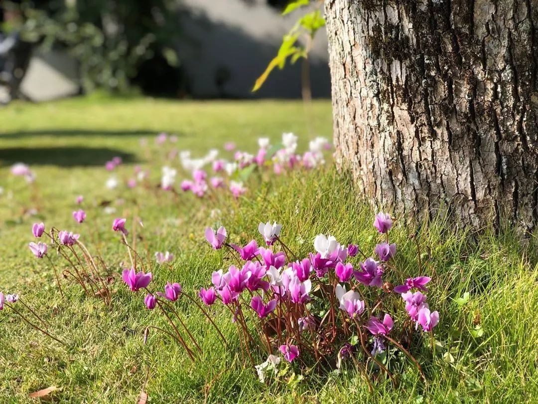 资深玩家推荐旅游,日本海滨度假胜地