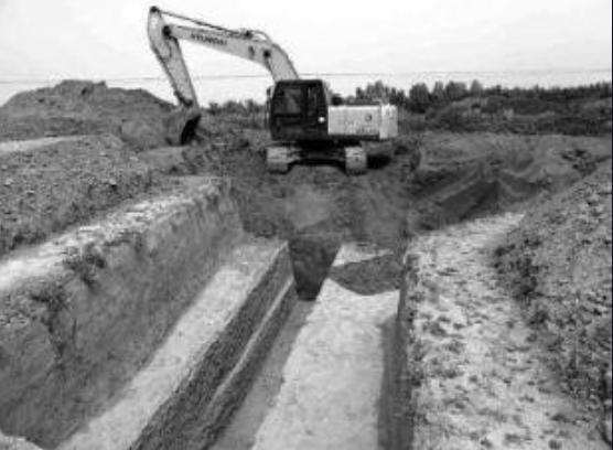 安徽农民挖出清朝棺,安徽清朝女尸棺木