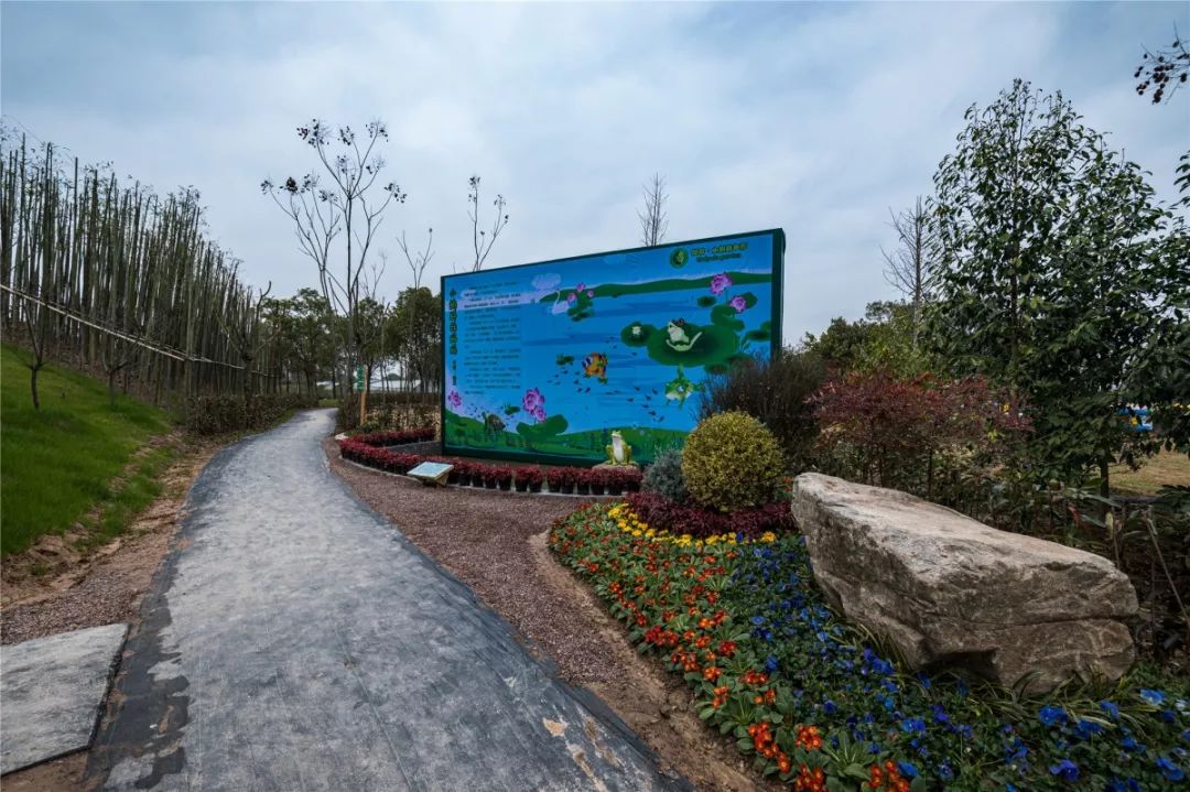 金华儿童乐园,金华市儿童乐园