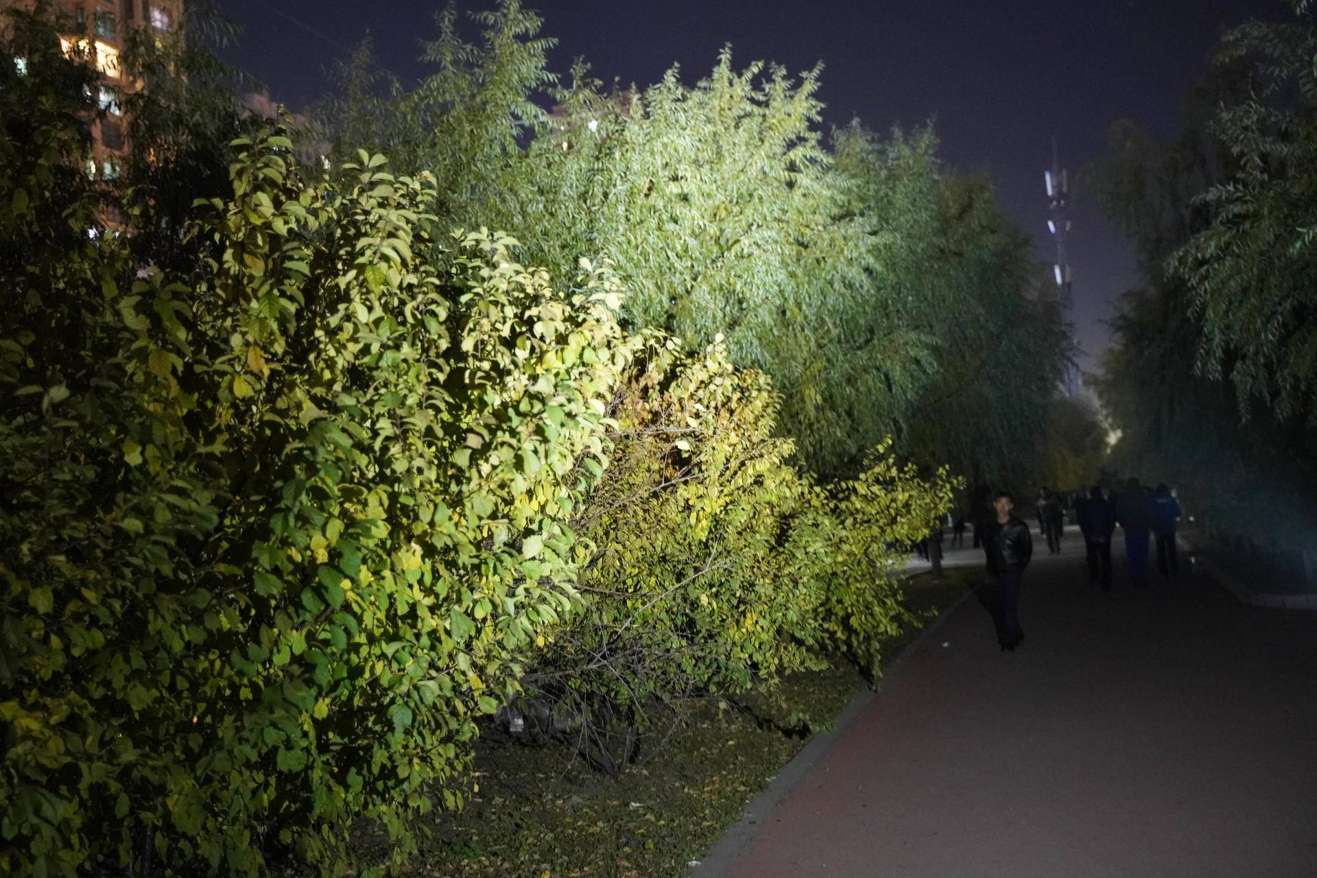 小巧便携，亮度高！体验菲尼克斯E20V2.0便携手电