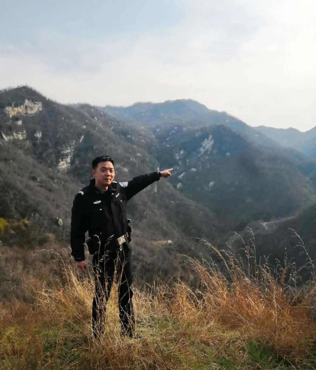 深山看猴记,深山看茶叶视频