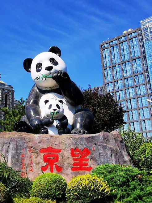 鍖椾含绉樺,鍖椾含绉樺涔嬫梾