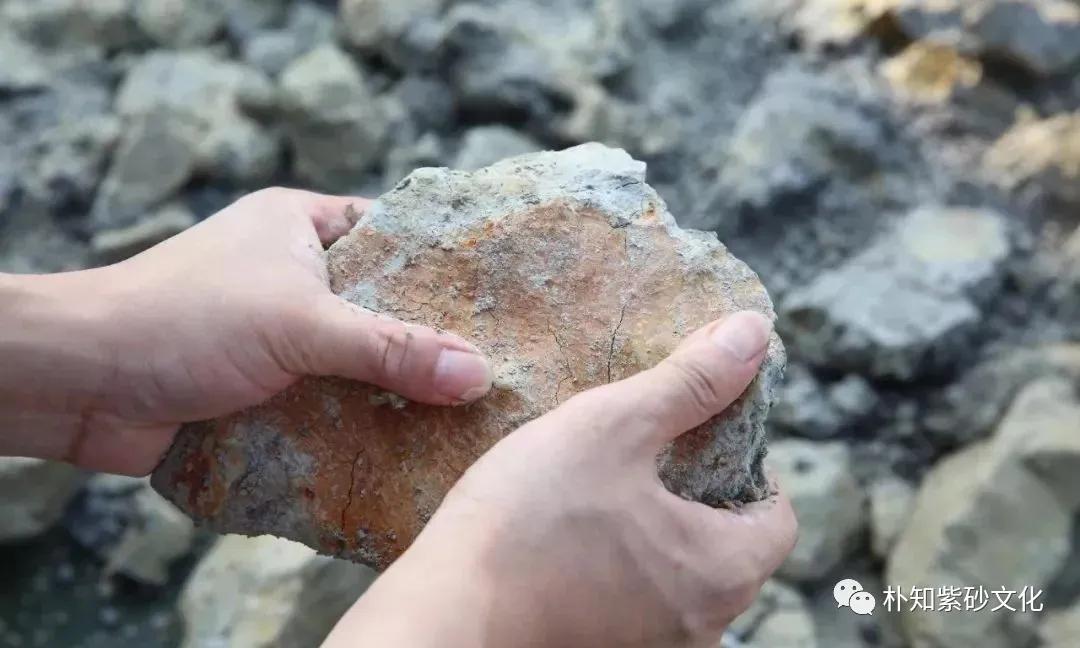 本山绿最简单的鉴别,本山绿优缺点