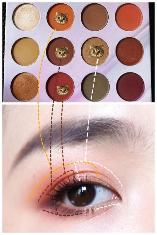 化妆需要“理论”知识吗，有了理论，你才知道你画的对不对