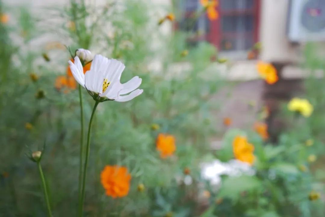福建技术师范学院福清分校,福师大福清分校怎样