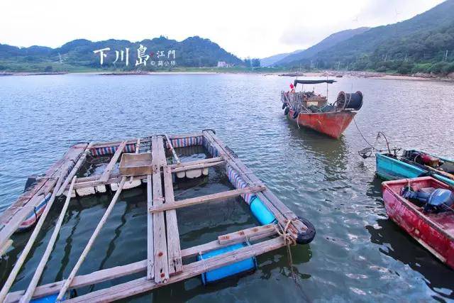 下川岛小帕劳,广东小帕劳