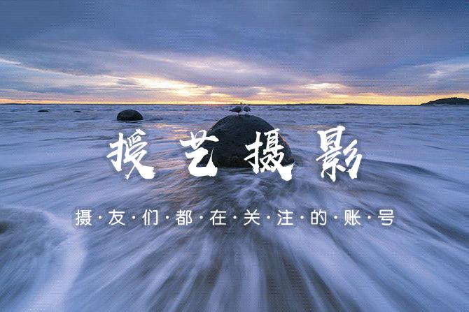 2018ippa摄影大赛公布获奖作品,国际摄影大奖佳作欣赏美爆了