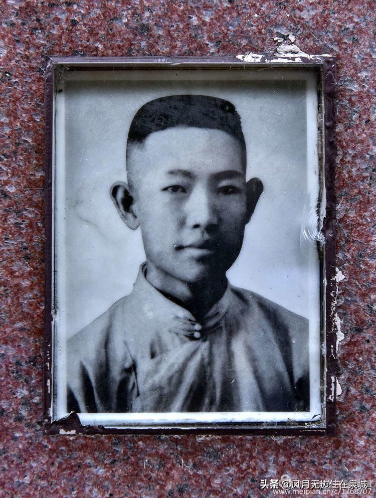 济南的法国梧桐,济南梧桐树美景