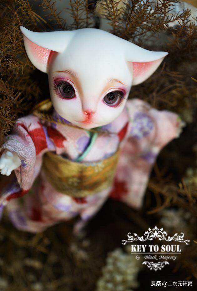 轩灵讲球状关节娃(BJD)的起源~
