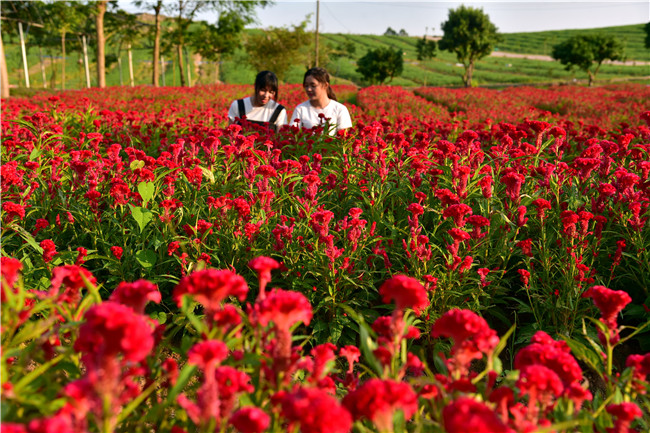 花都美林湖景区,广州花都美林湖攻略