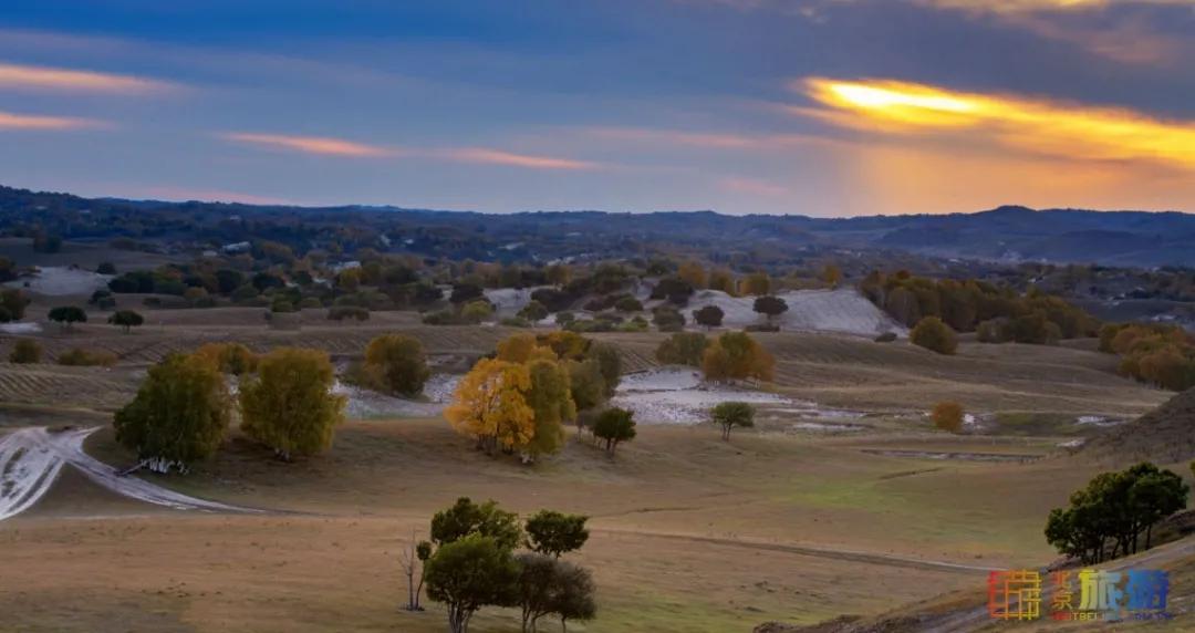 一到秋天,这里就美成了金色天堂!全世界独一份!