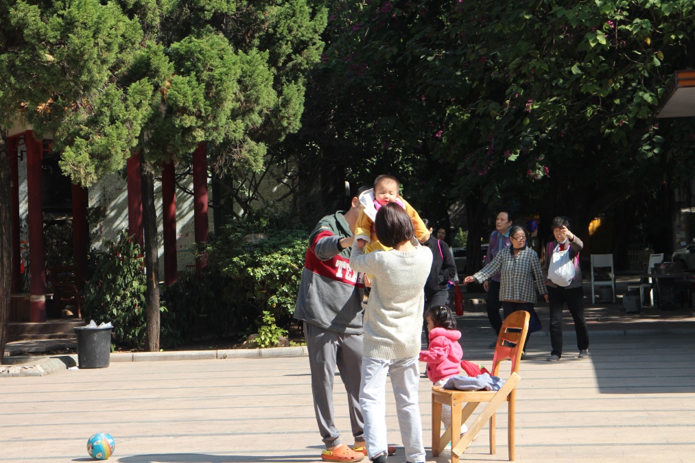 海珠最美小区,海珠区最漂亮社区