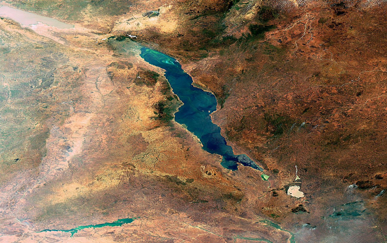 人类发源地认定,科学家确定人类的发源地