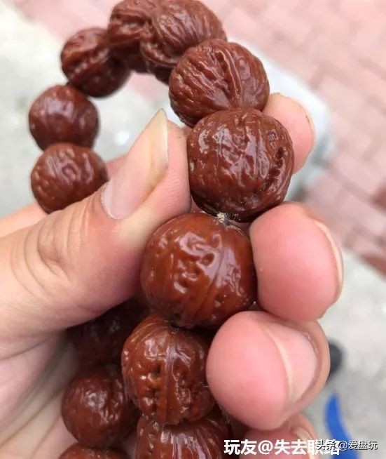 放了2年的凤眼,翻出来,虫子能组一个篮球队了