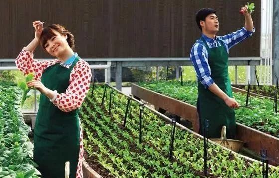 成都多利农庄:如何解决土地、资金、产业、三农问题