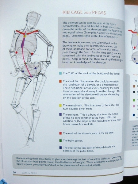 透视表现空间的基本方法,透视解剖学原理书籍