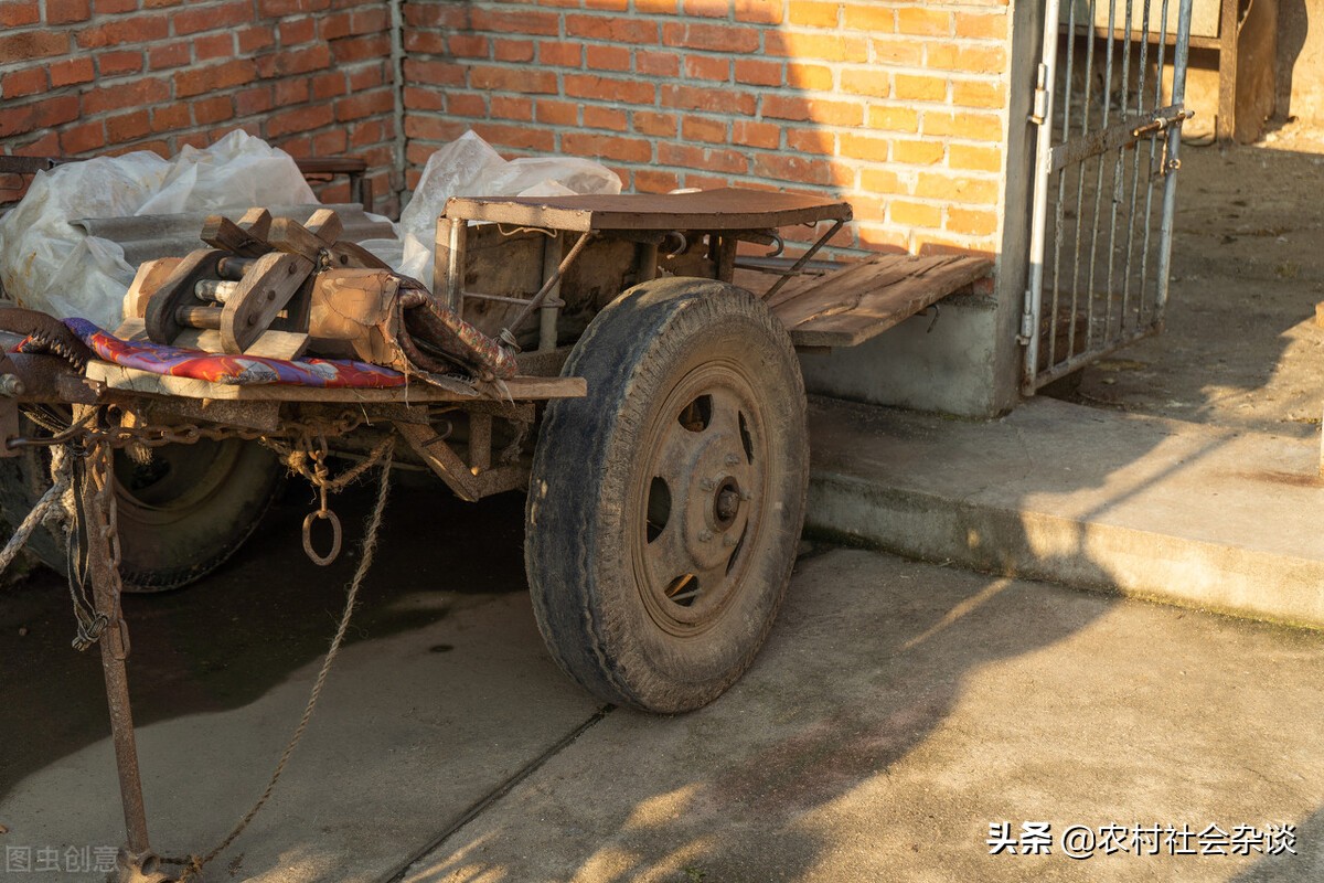 作为一个南方人在哈尔滨,作为一名南方人