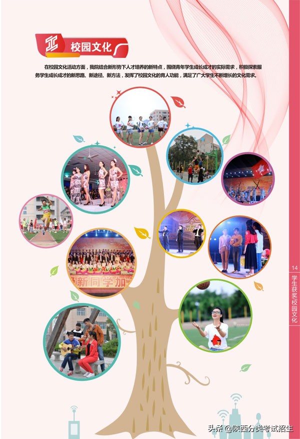 陕西省工业职业技术学院重点专业,陕西省工业技术学院排名