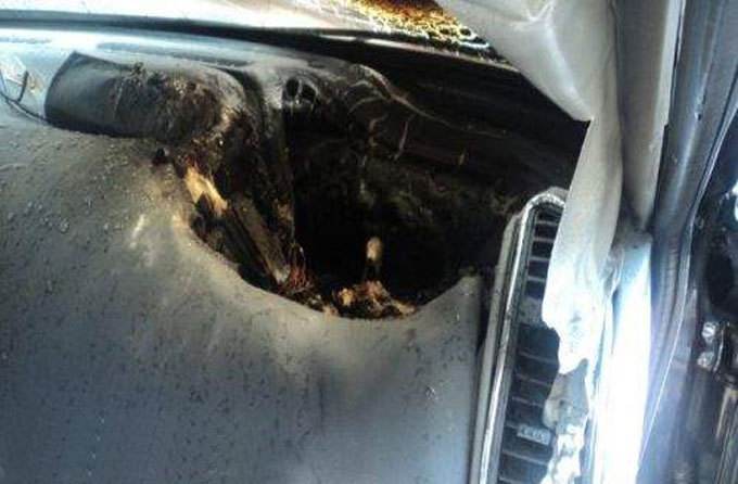 原创首发：安全又有情杯的TITA唱片机车载香薰上手体验