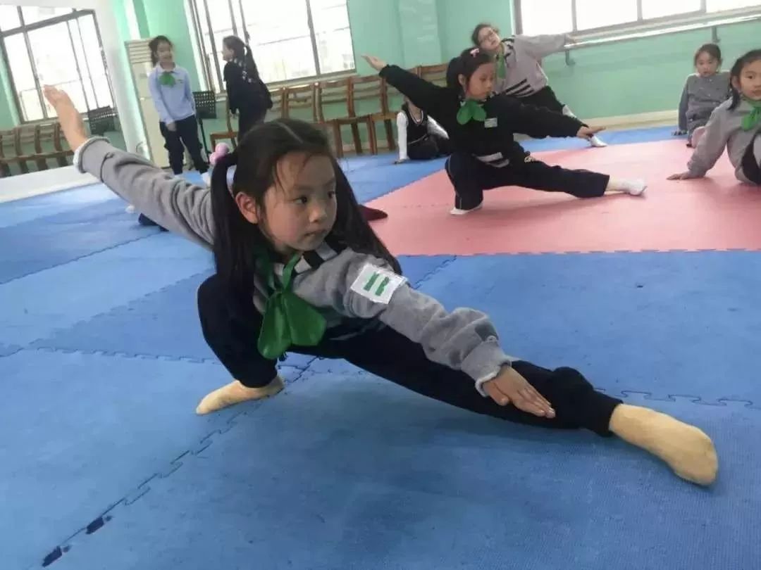 上海最有实力的国际学校,上海徐汇最好的小学