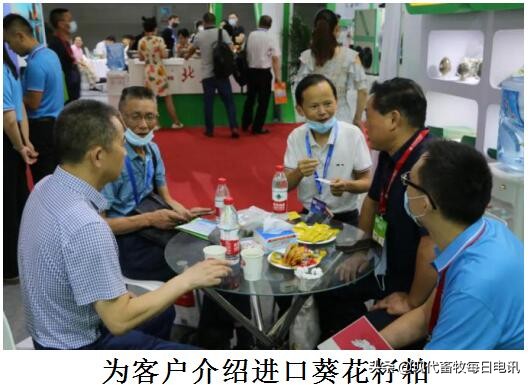 如何破解蛋品安全难题?神丹“全产业方案”引关注