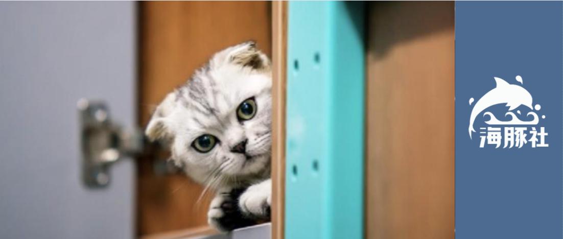 千亿宠物赛道视频,揭秘宠物行业内幕