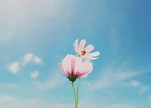 健身朋友圈简短走心的句子,生气说说简短走心的朋友圈