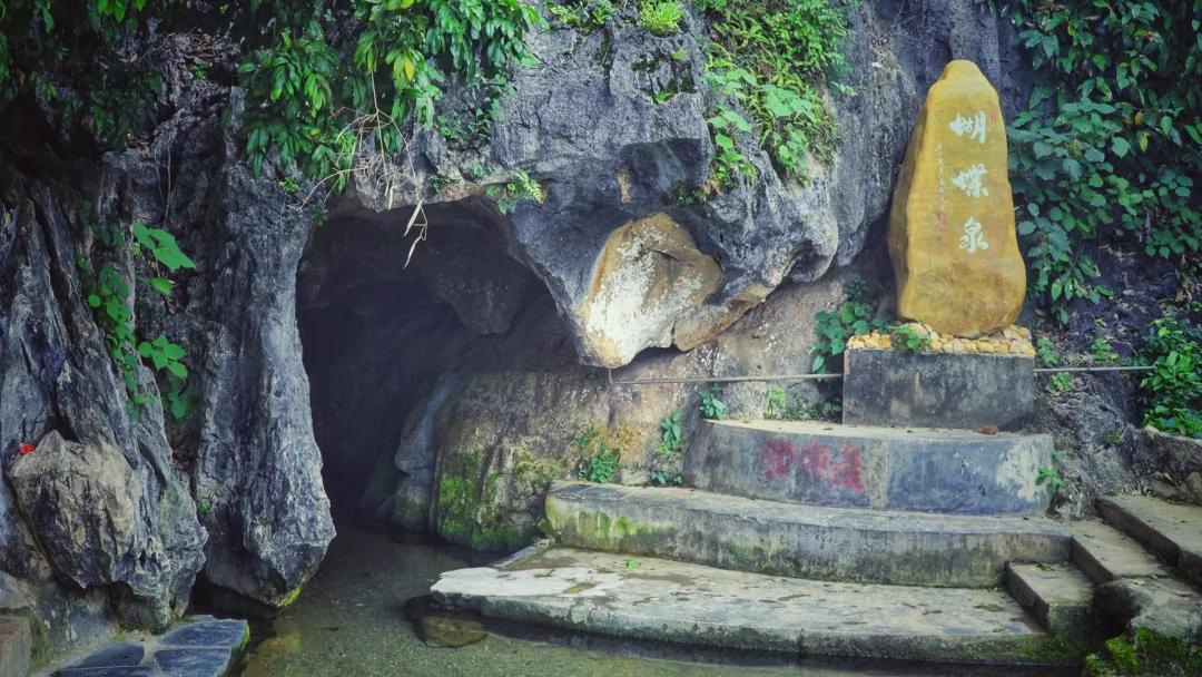 萧大师讲历史视频,萧大师作品