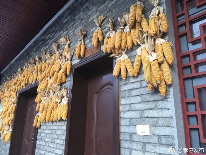 「云聚孝感十抓十促」精彩继续，魅力无边！这样的云梦、应城你们见过吗？