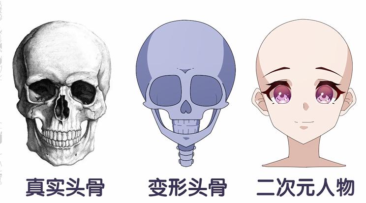 procreate写实人物起稿教程,二次元头像绘画新手教程