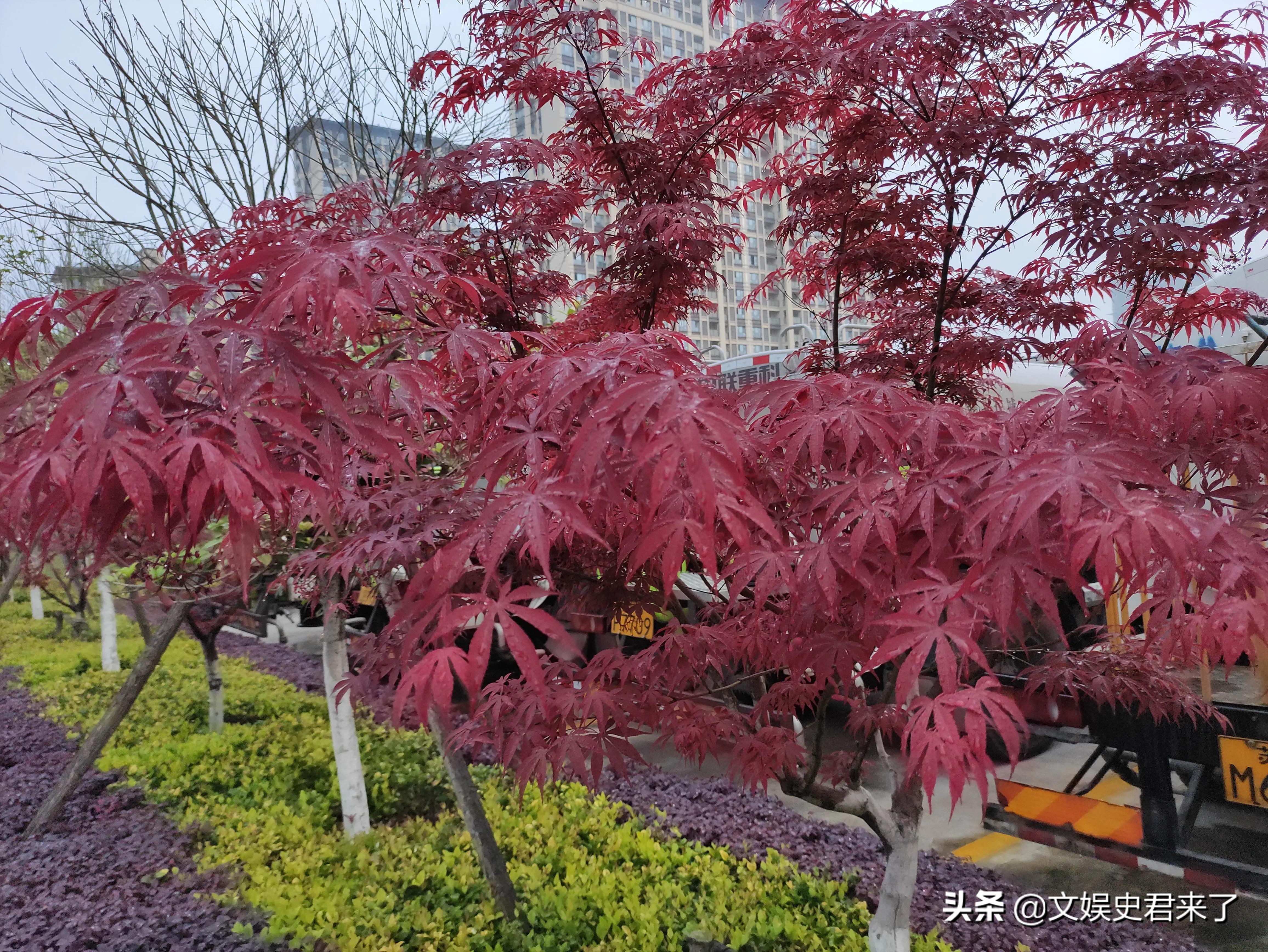 南京高淳之我见,不是抹黑你,但愿人们的日子越来越好,警告喷子