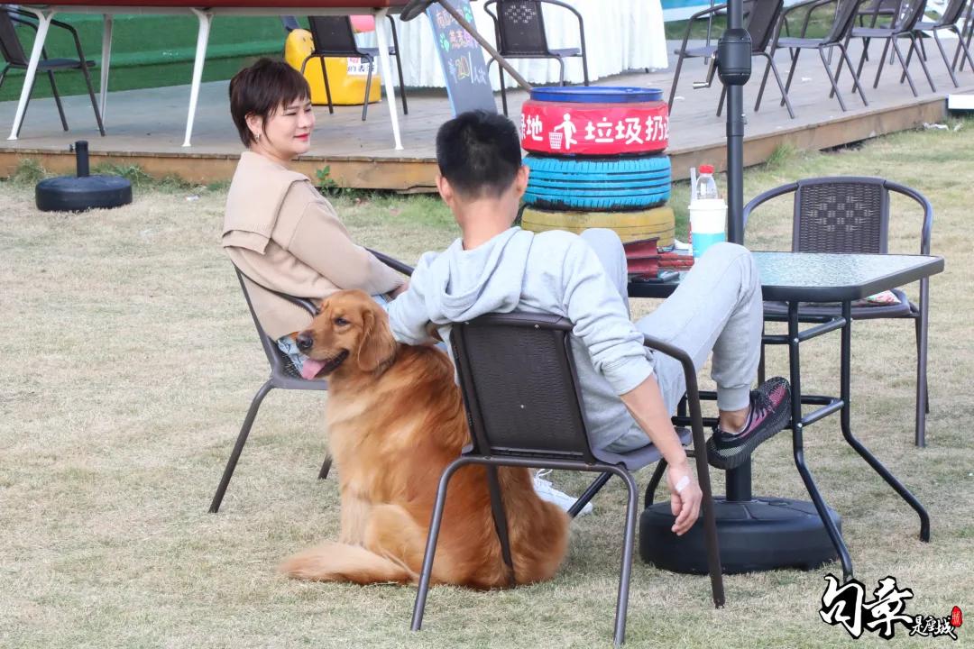 汪汪汪~宁波首家宠物主题乐园登陆江北，铲屎官们走起