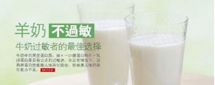 新风口大会推荐企业：志羊乳业告诉您羊奶不为人熟知的12种功效