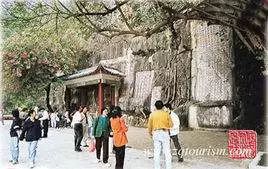 宋城怀古｜端州这个亭子居然不让人进去！里面有什么宝贝？