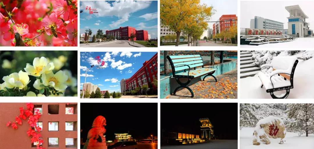 和青春不期而“榆”！榆林职院是你梦想起航的地方！