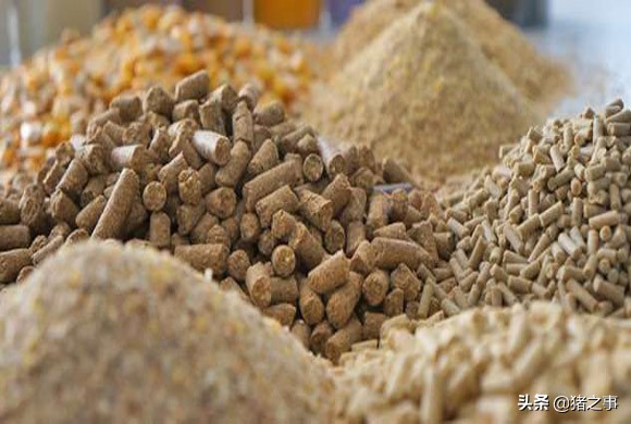 养殖小知识｜关于“霉菌”与“霉菌毒素”，你应该知道的事