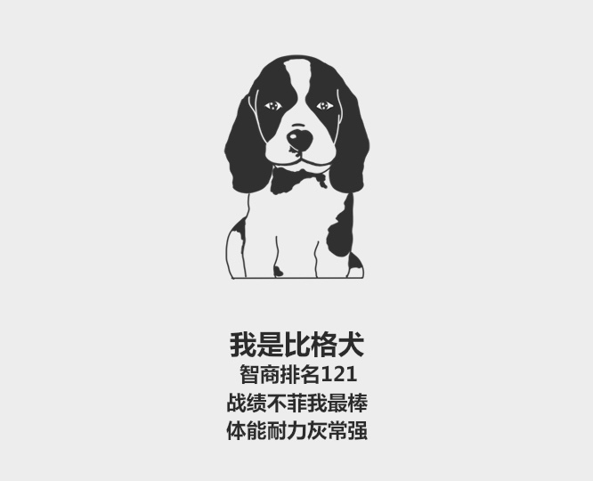 十大蠢狗排名之哈士奇,哈士奇最傻瞬间