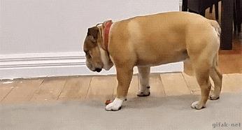 喝酒才是避免醉酒的最好办法,防止醉酒最快最有效的方法