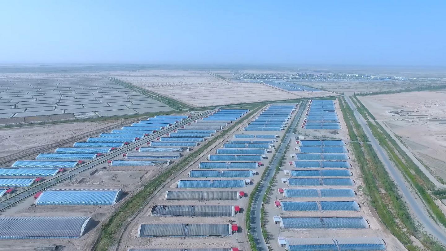 落实两会精神助力乡村振兴,落实市委全会精神六强