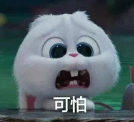 为预防妇科疾病买什么保险,有妇科病可以买保险吗