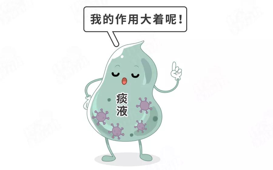 fda儿童禁用止咳药,儿童禁用的咳嗽药有哪些