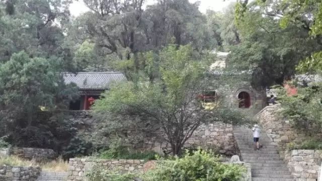 泰山三阳观全景视频,泰山三阳观风景区