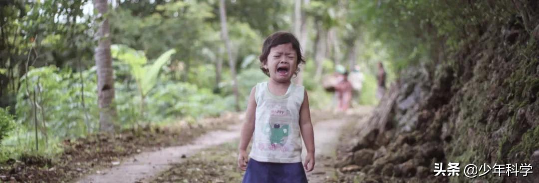 对儿童进行性教育的原因,性教育对儿童的好处