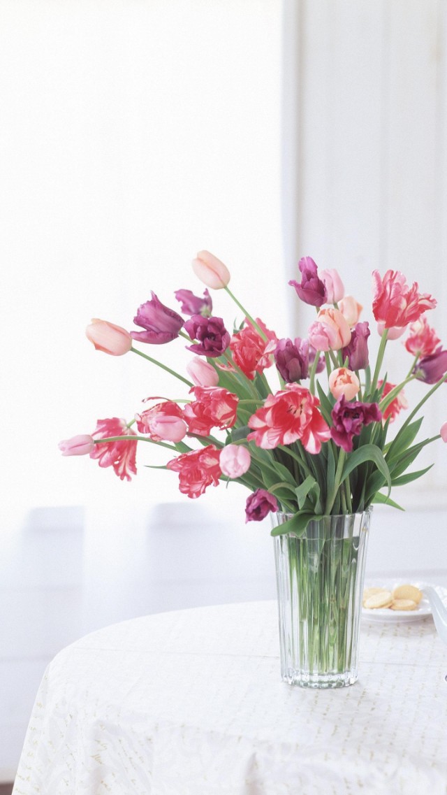 精美二次元壁纸高清,60张绝美壁纸超清