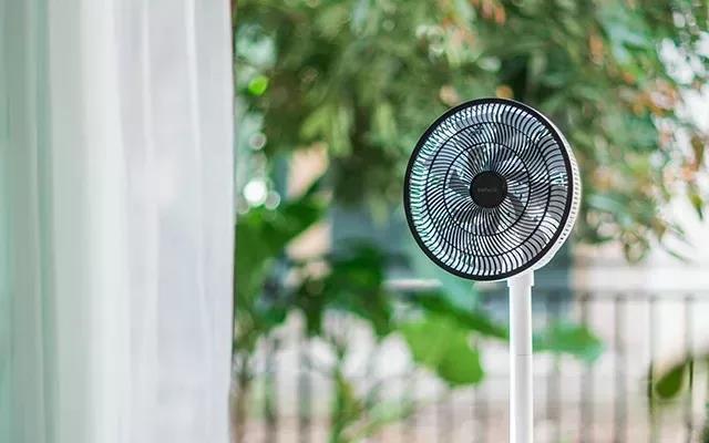 巴慕达风扇扇叶,巴慕达中国版多少钱